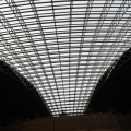 IMG_6269.JPG